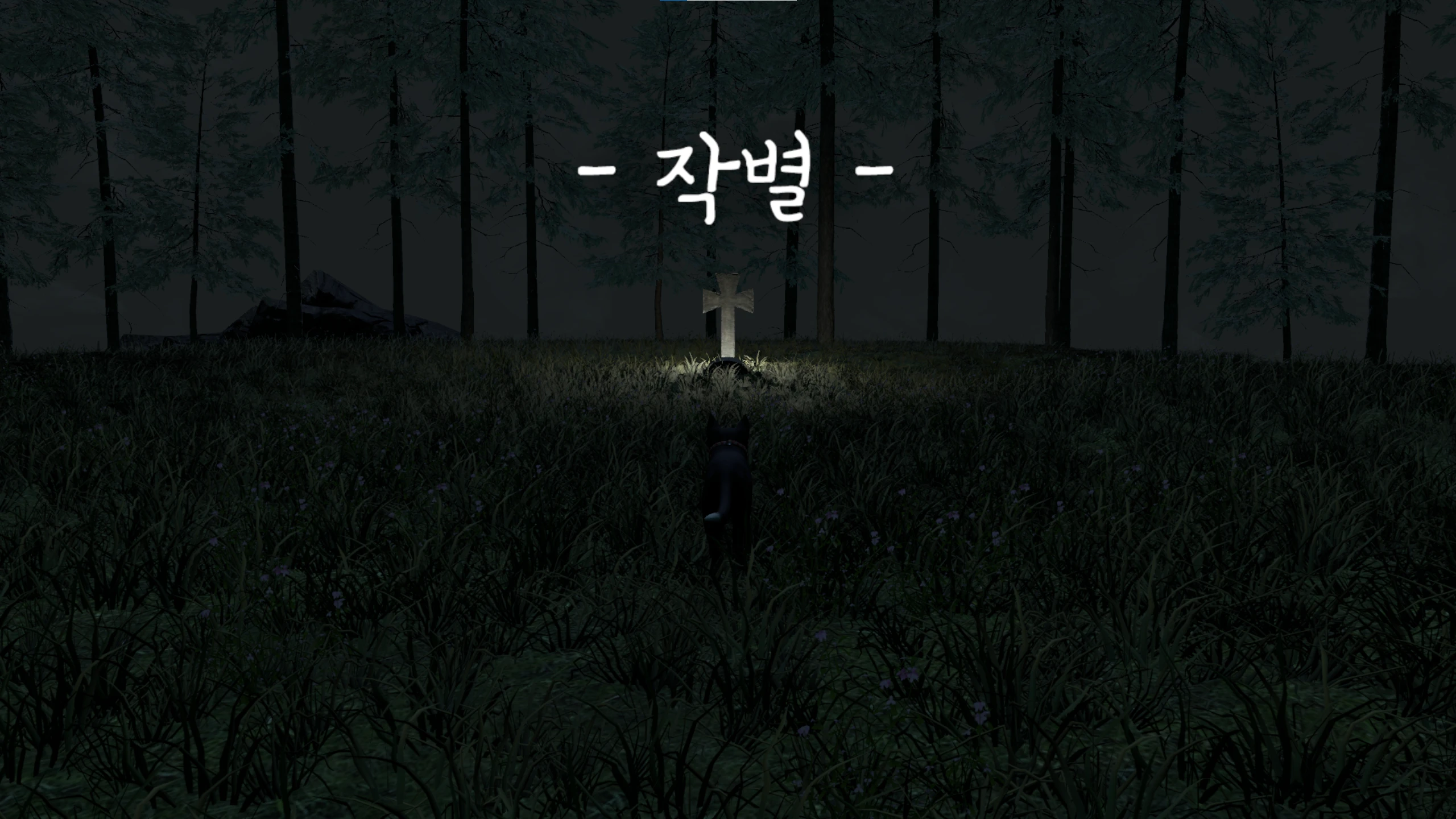 레코드판 description 11